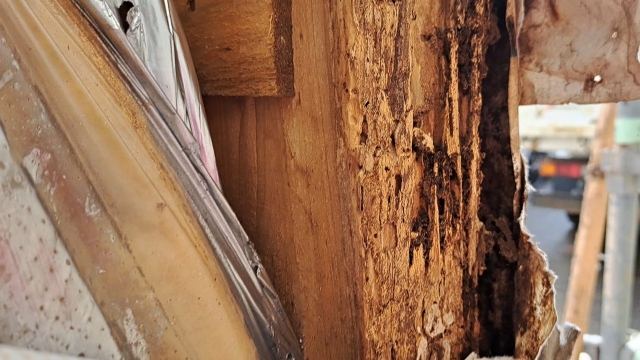 シロアリの被害がある住まい