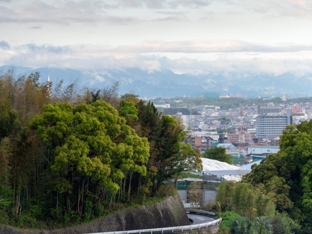 富田林市で不動産売却を検討中の方へ｜住み替えに強い業者選びとおすすめ会社