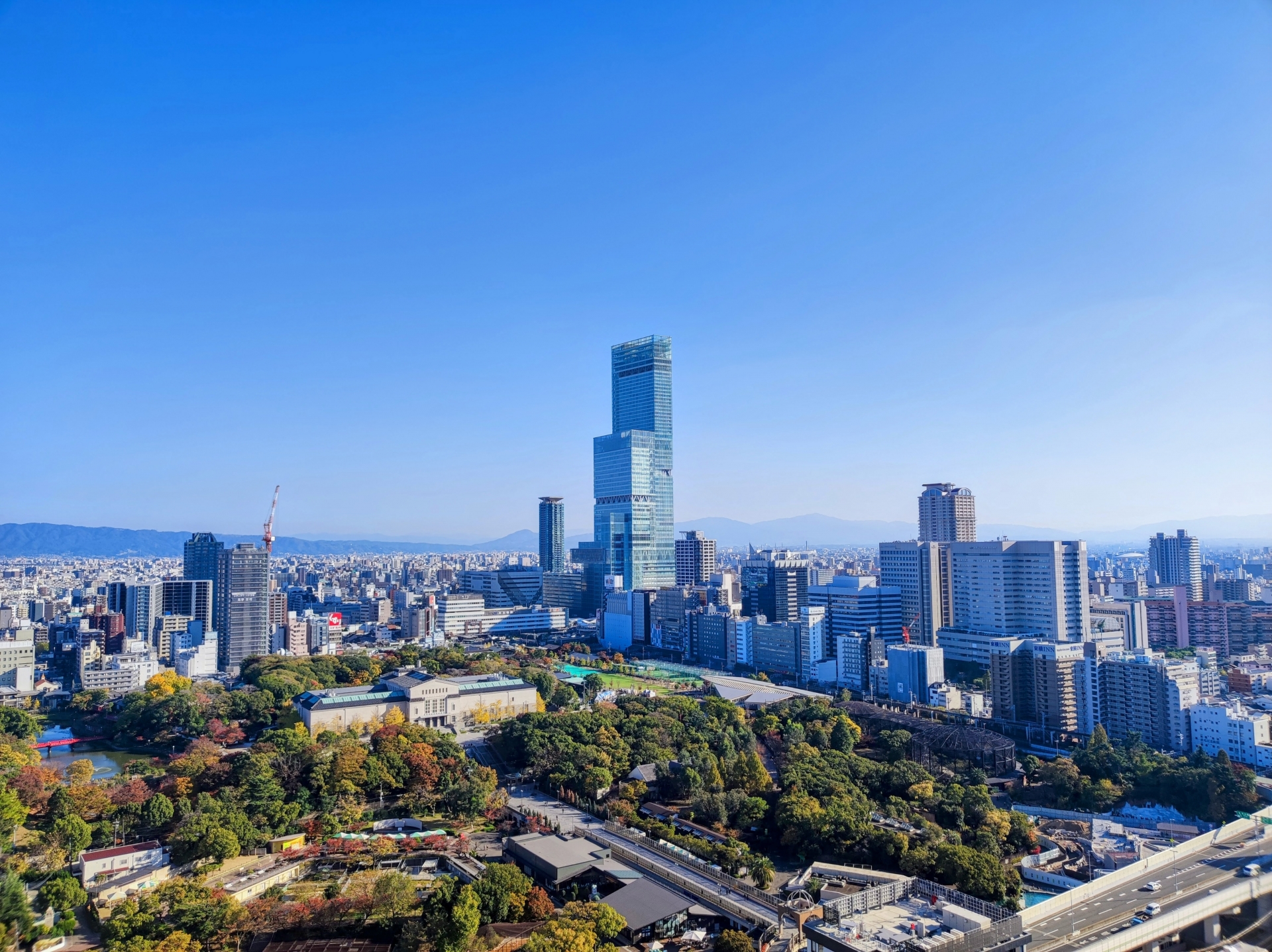 【編集部厳選！】大阪市阿倍野区で不動産売却を考える人におすすめの不動産会社5選